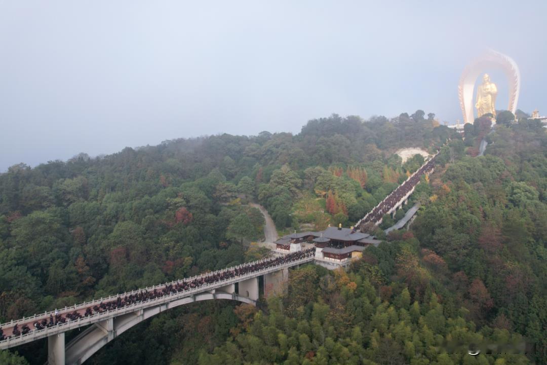 学佛人不要过得太顺利
学佛人不要过得太顺利， 有坎坷，有挫折， 有苦难，有忧患，