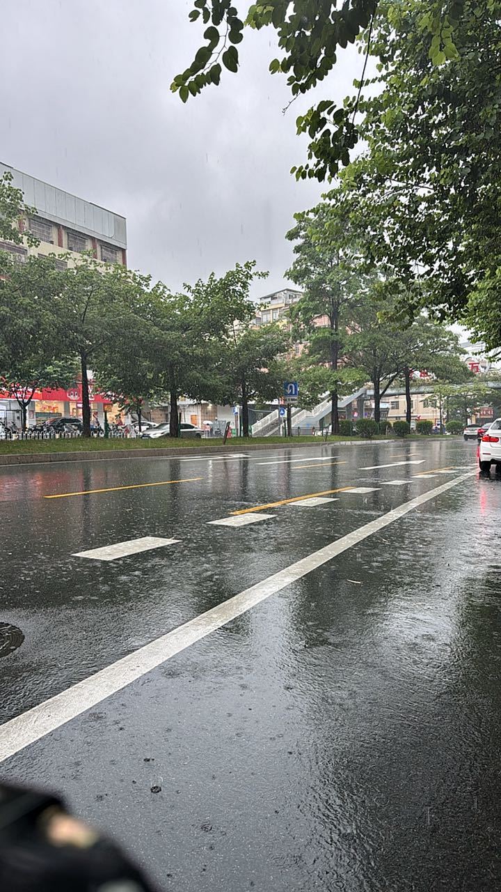 魚儿画渣的摸鱼制造厂  下雨了 