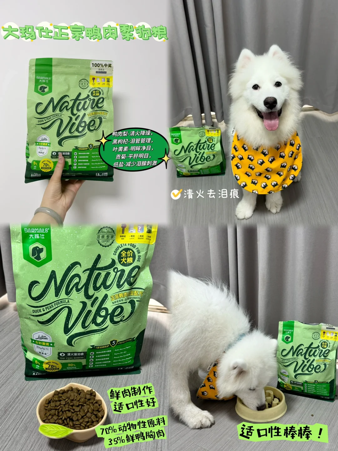 白色狗狗如何预防泪痕？✅