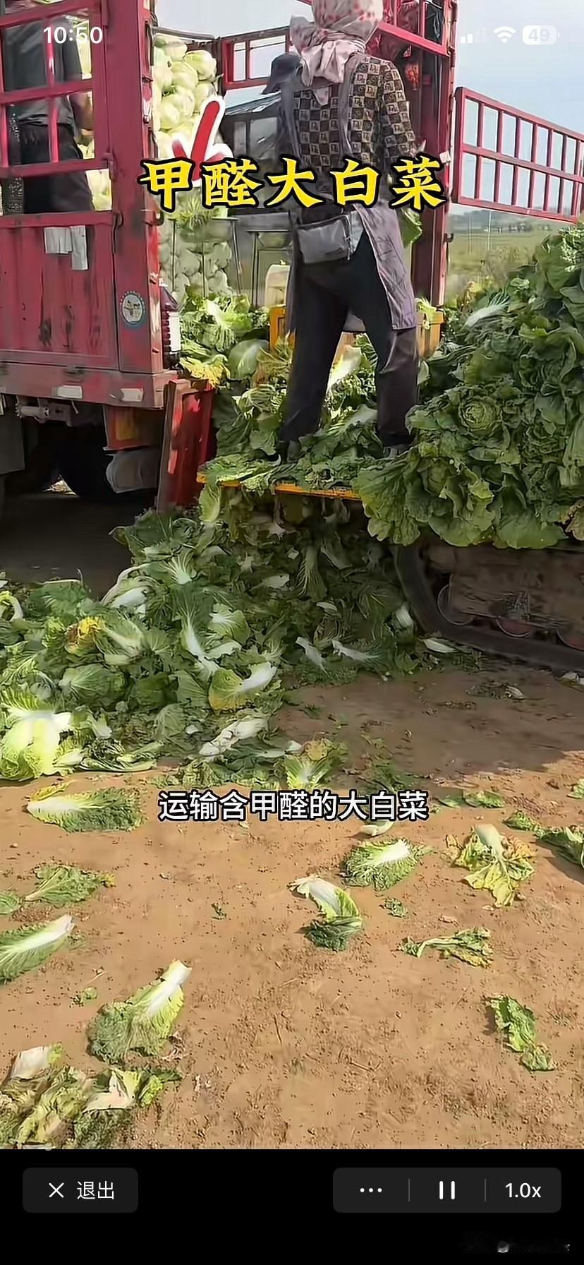 人民日报：处置甲醛白菜必须从速从严食品卫生安全是重大的民生问题，一些不法商贩为了