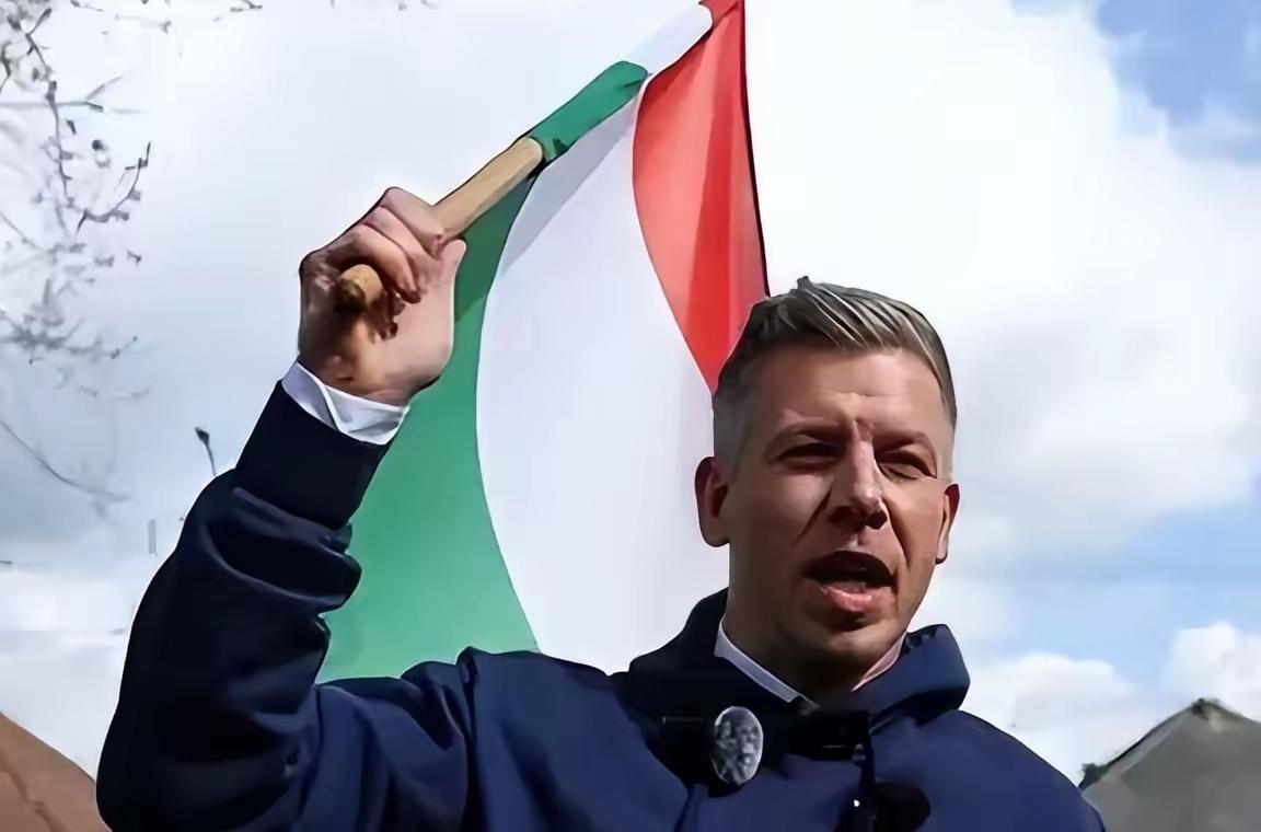 最新消息！

马扎尔胜选！

估计现在匈牙利的年轻选民是全网最爽的人了。

匈牙