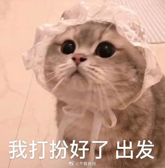 #早安# 只要你肯迈出第一步，自然会有出路。 ​​​