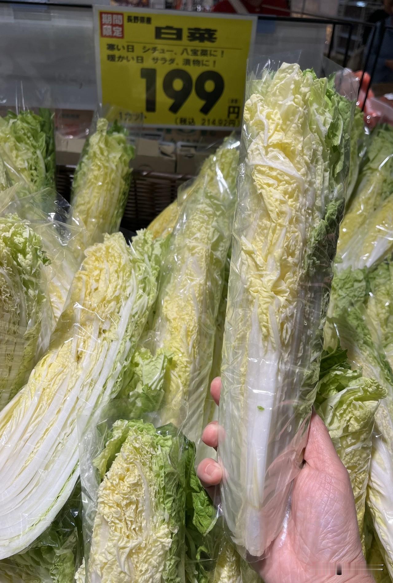 日本人吃不起大白菜了！这样切开八分之一的白菜，在日本售价199日元，算下来相当于