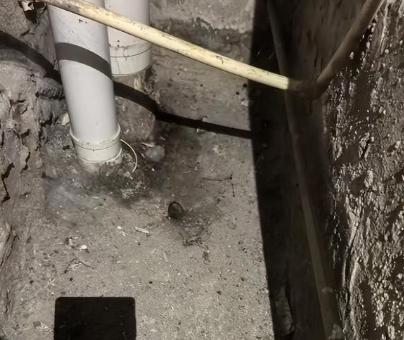 重庆万州，女子因搬家以40万的价格，卖掉了154平的学区房，买家装修后，以69.