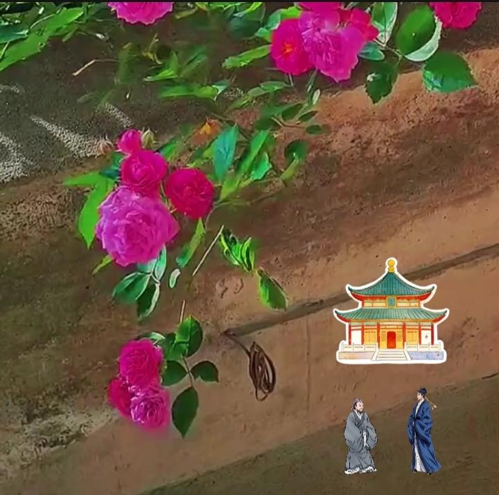 上联：风起风息风未语；诚邀下联下联：花落花开花不言