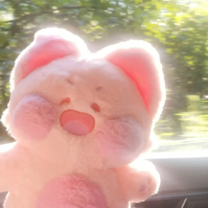 好久没给大家抽些好玩的东西了，上次你们说玩偶好看，给大家抽6个嘟嘟喵吧。评论即可