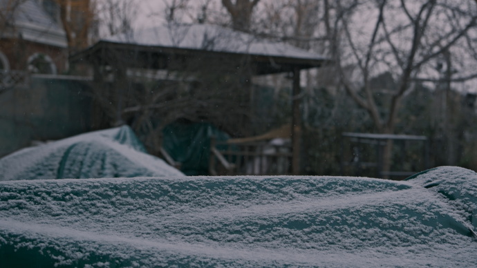 北京迎来初雪，苏新皓通过分享让这份冬日景致被看见，记录瞬间背后是对季节更替的自然