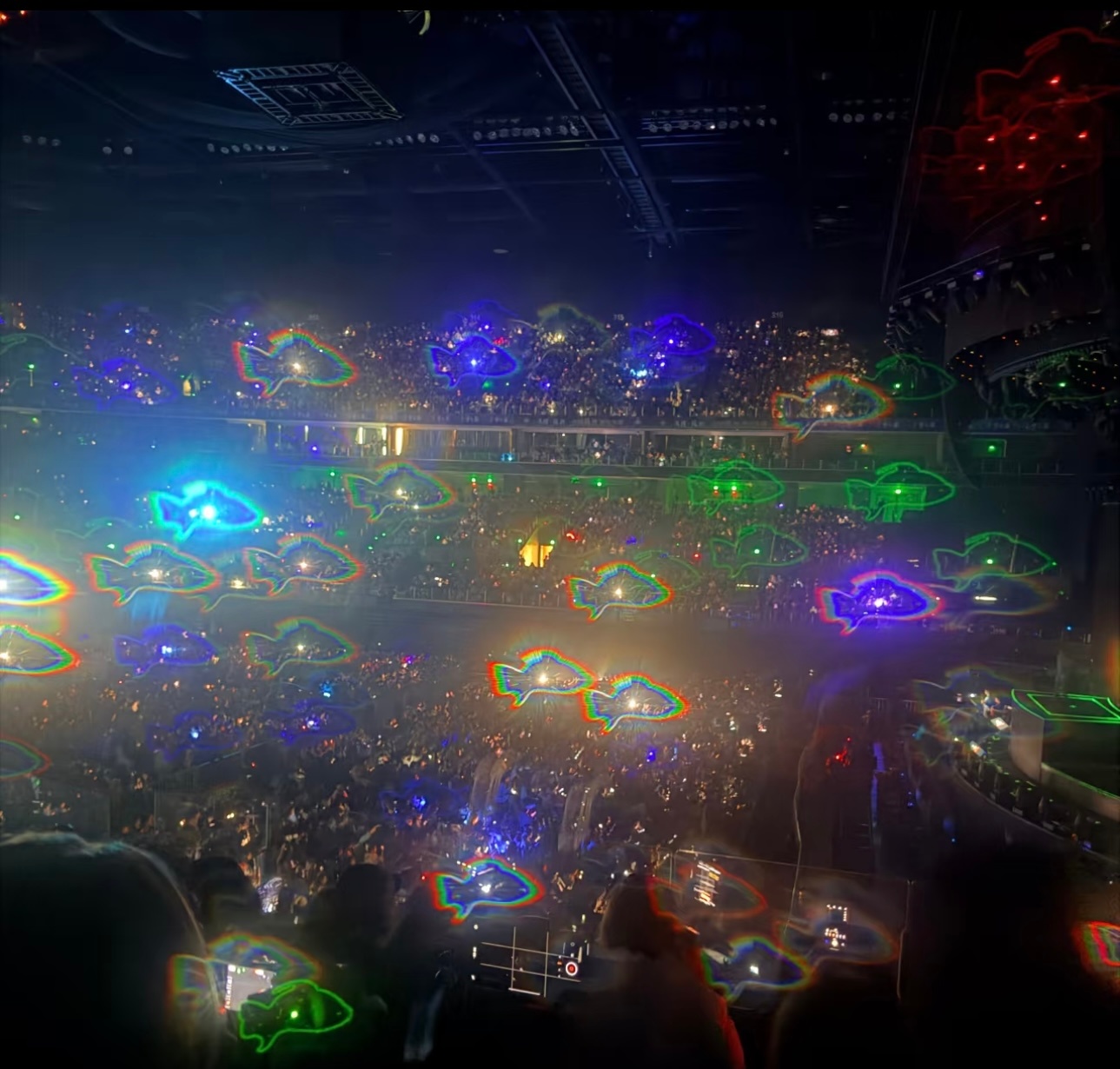 梓渝演唱会3D眼镜下是这样的，好漂亮啊。 