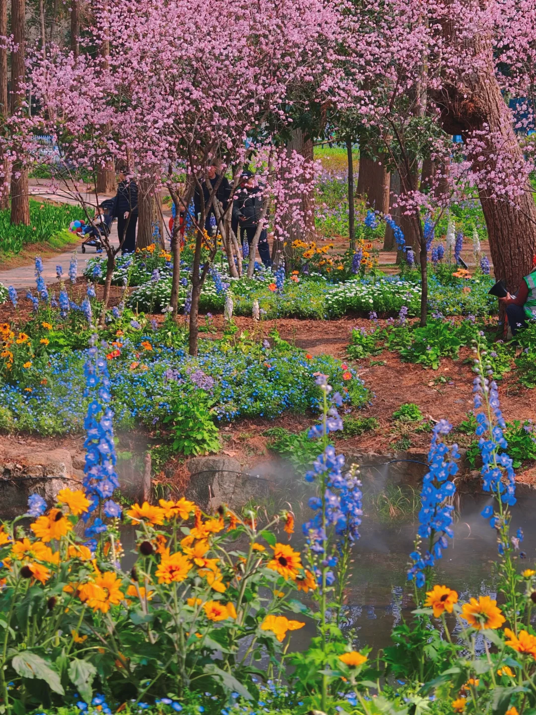 美到窒息‼️今天的中山植物园真的杀疯了！！！