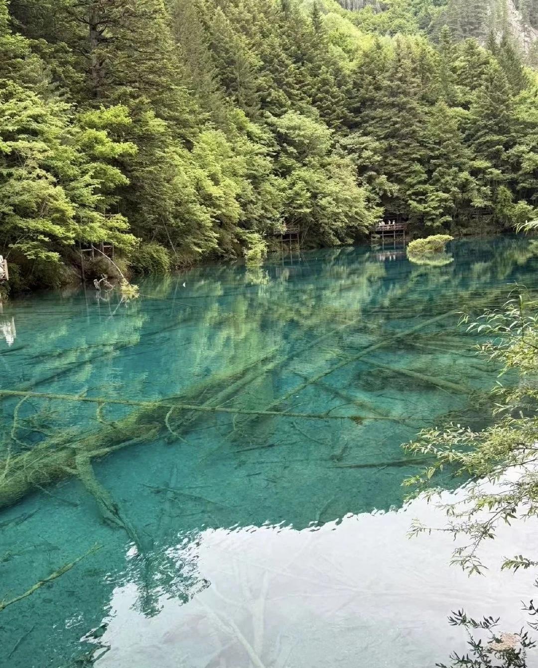 ❤️天气太热了吧！
好想找个凉快地方避暑这边热得很 闷热的天气 这个夏天除了热什