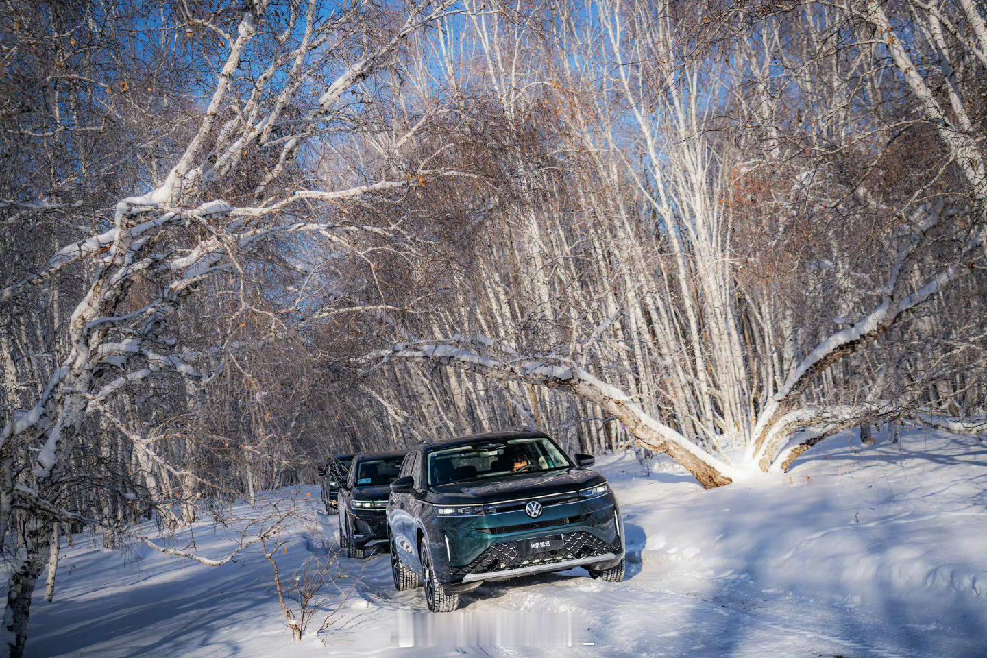 零下40度秀肌肉在零下40度环境中全新揽巡直面极寒挑战，展示了全新揽巡等车型的冰