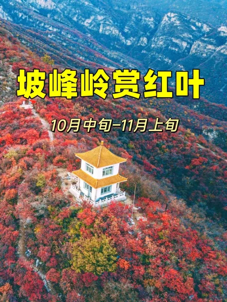 2024红叶观赏地🍂国家地理推荐，坡峰岭