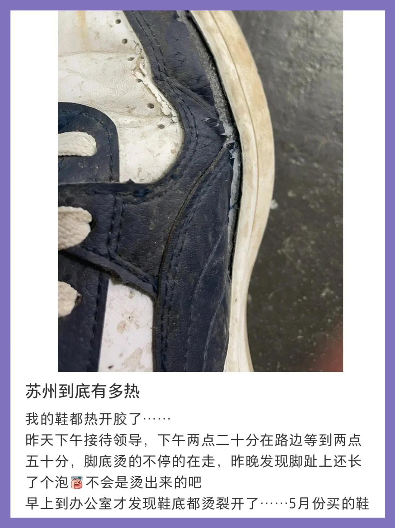 我倒要看看谁还在说我爱盛夏 
