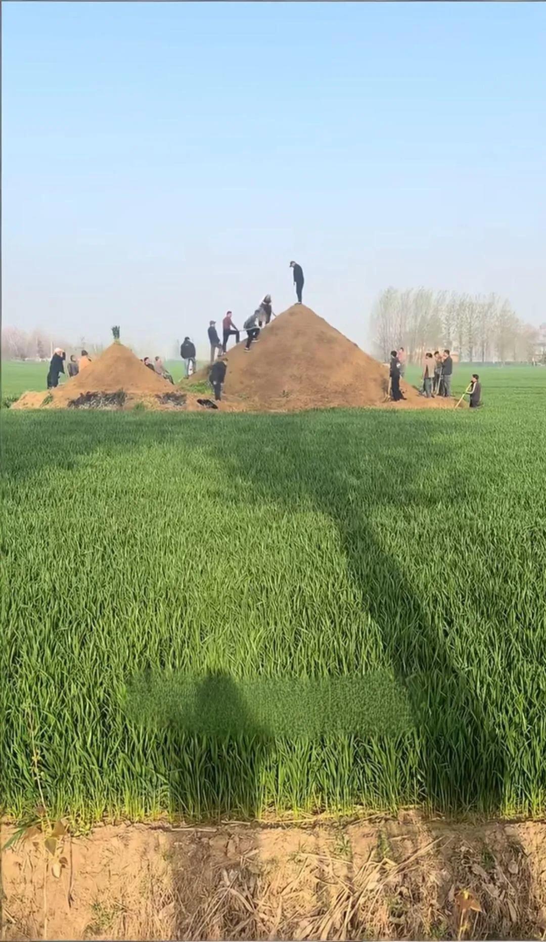 这也太大了吧！一大家族齐心协力添坟祭祖，坟头堆得跟小山似的！