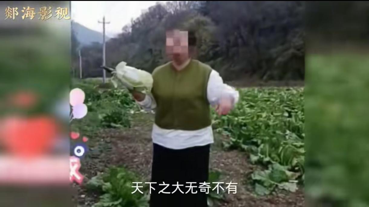 开着奔驰去偷白菜，被抓到后还不知悔改，直接拿菜上车，还理直气壮地喊报警。
她能开