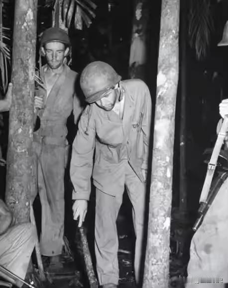 1941年，一美国士兵特雷克突然吃坏肚子，匆忙在丛林中解决后，因无厕纸，随手摘了