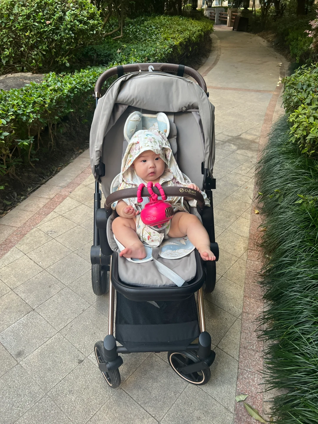 给我看看大家夏天遛娃户外装备👀