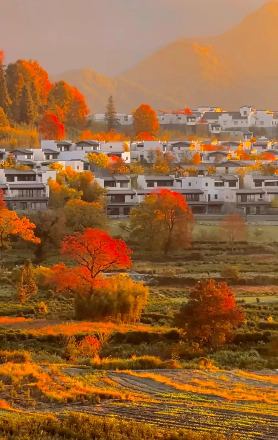 【婚外情修成正果？别逗了，偷来的感情迟早要还】

当初觉得遇上灵魂伴侣——爱吃同