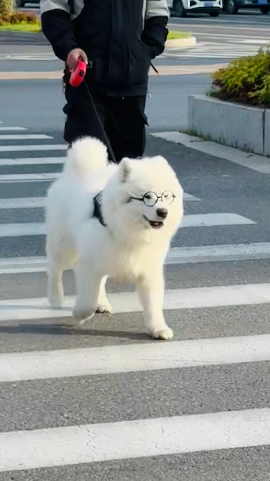 耶塑最成功之人