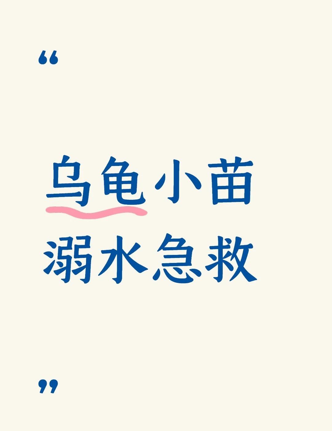 猪尾巴、和变异龟苗 溺水的机率非常大
即使有物可以停歇，他们游泳也非常困难，所以