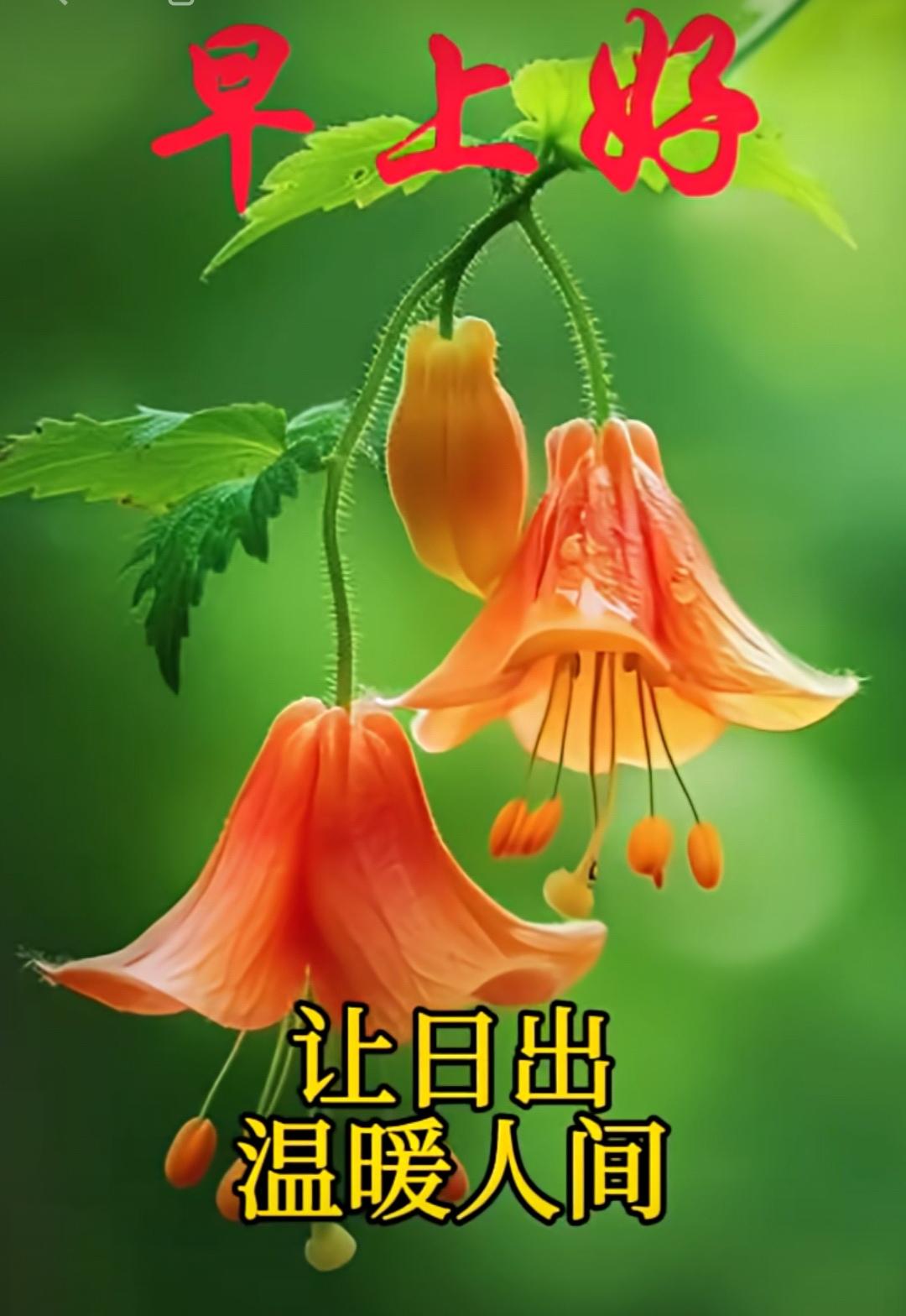 真情一生永留，
祝福每天都有，
牽掛總是不忘，
健康四季相守。
早上好！[玫瑰]