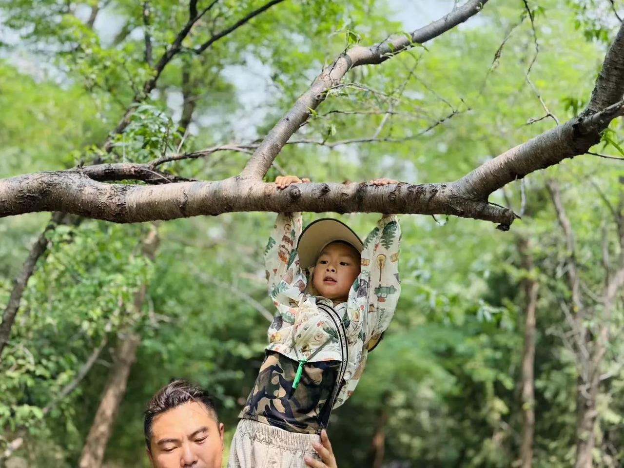 在幼儿园的户外时光，暖阳洒下温柔光芒。我轻轻托举着孩子，他双手紧紧抓住树枝，小脸