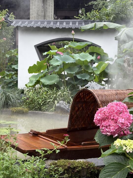 钱王祠荷花展🪷很仙但不建议去❌