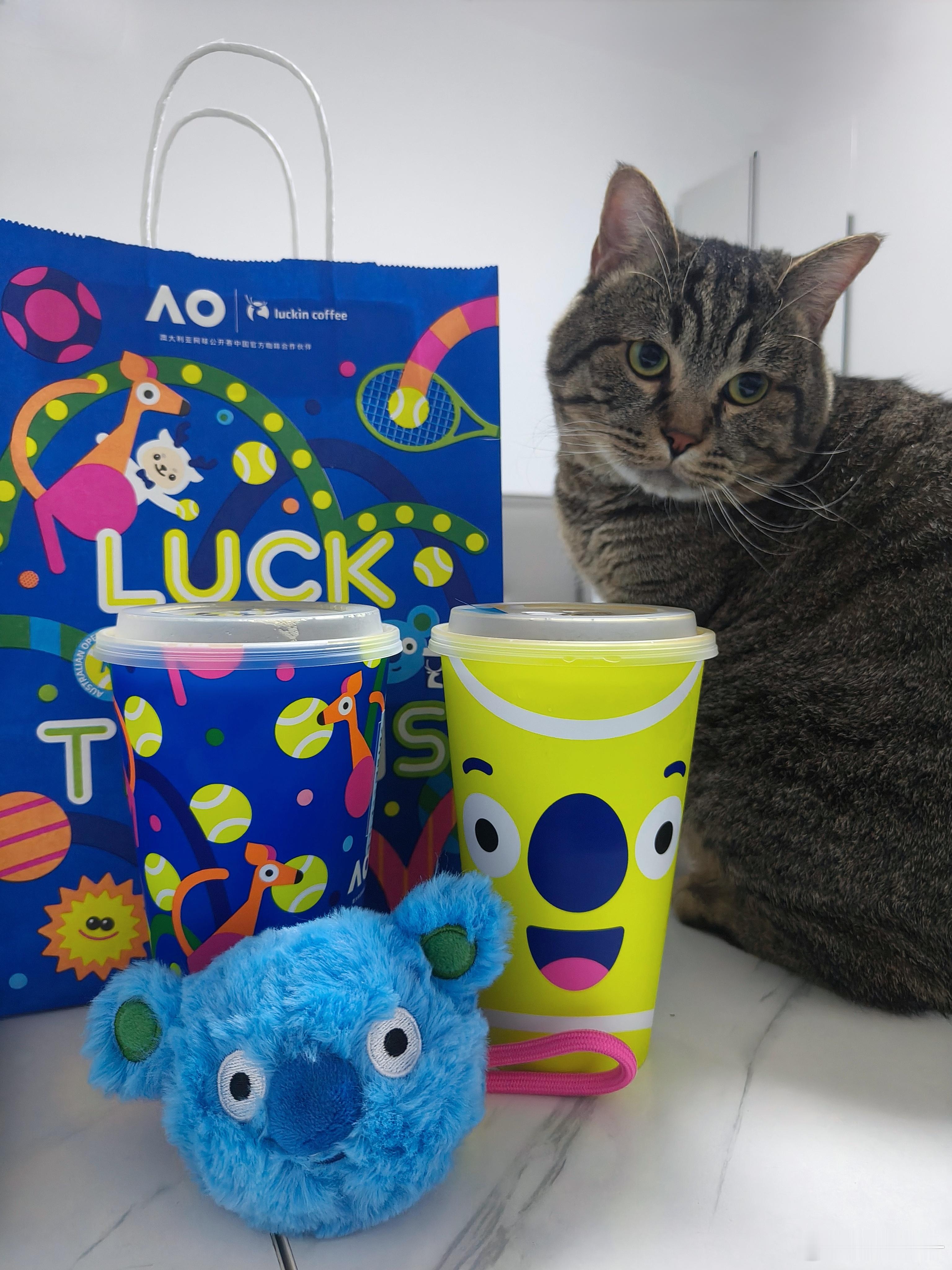 是谁一大早冒雪去买咖啡为了澳网联名小考拉🐨也是拼了，冰箱贴随后再说吧，店员小姐