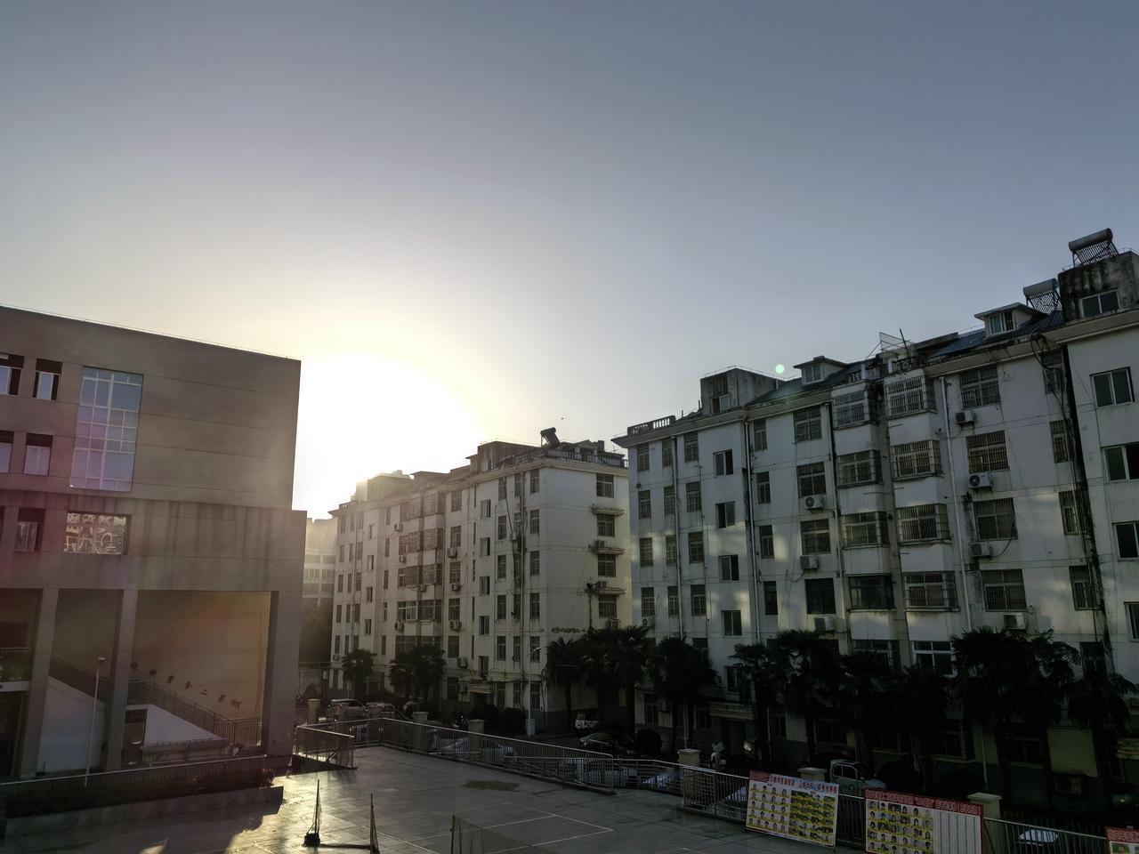 分享阳光下随手拍的照片