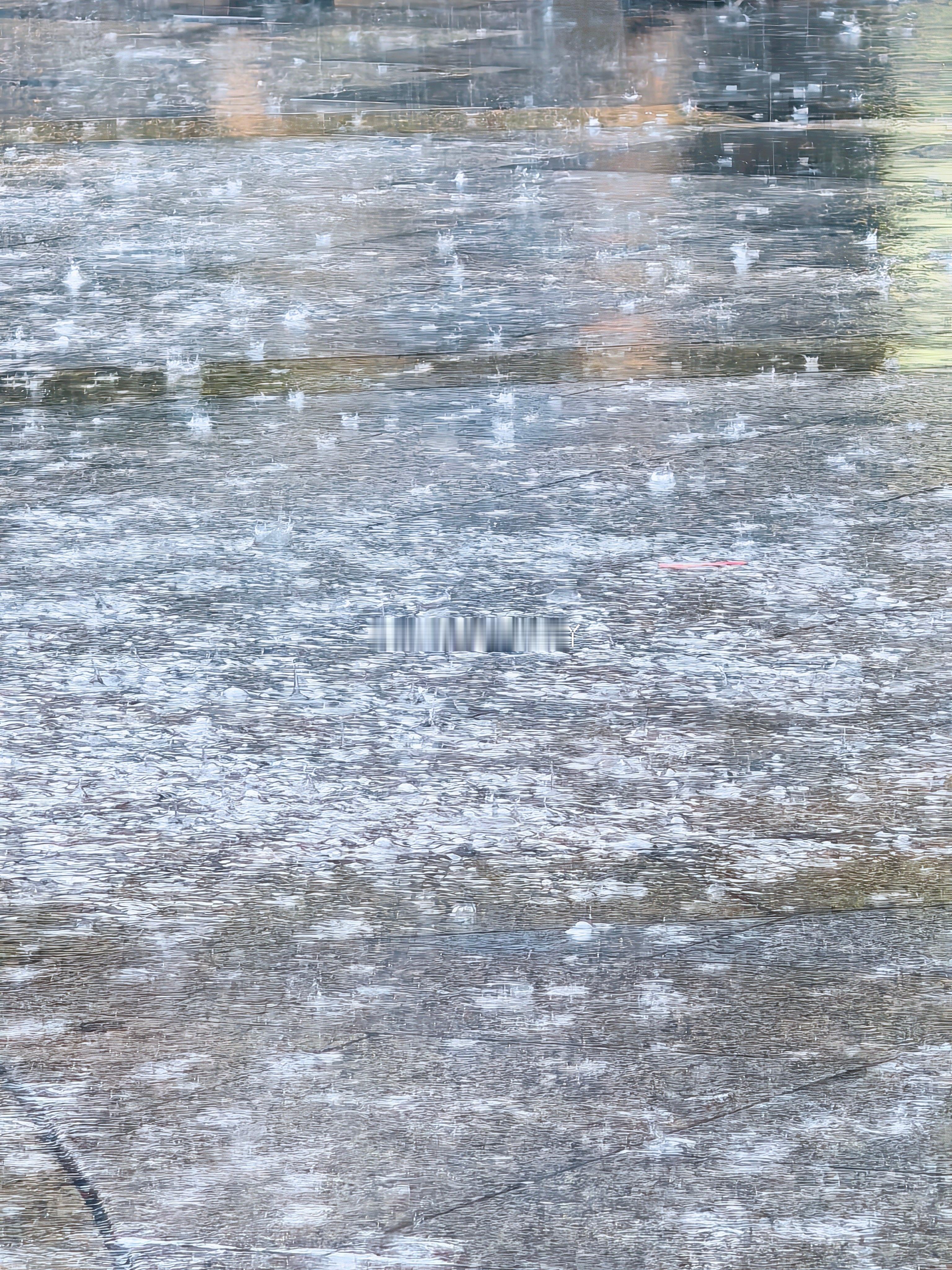 关门，收工，今天亏钱了。其实雨也没多大，是风在拼命刮…… 