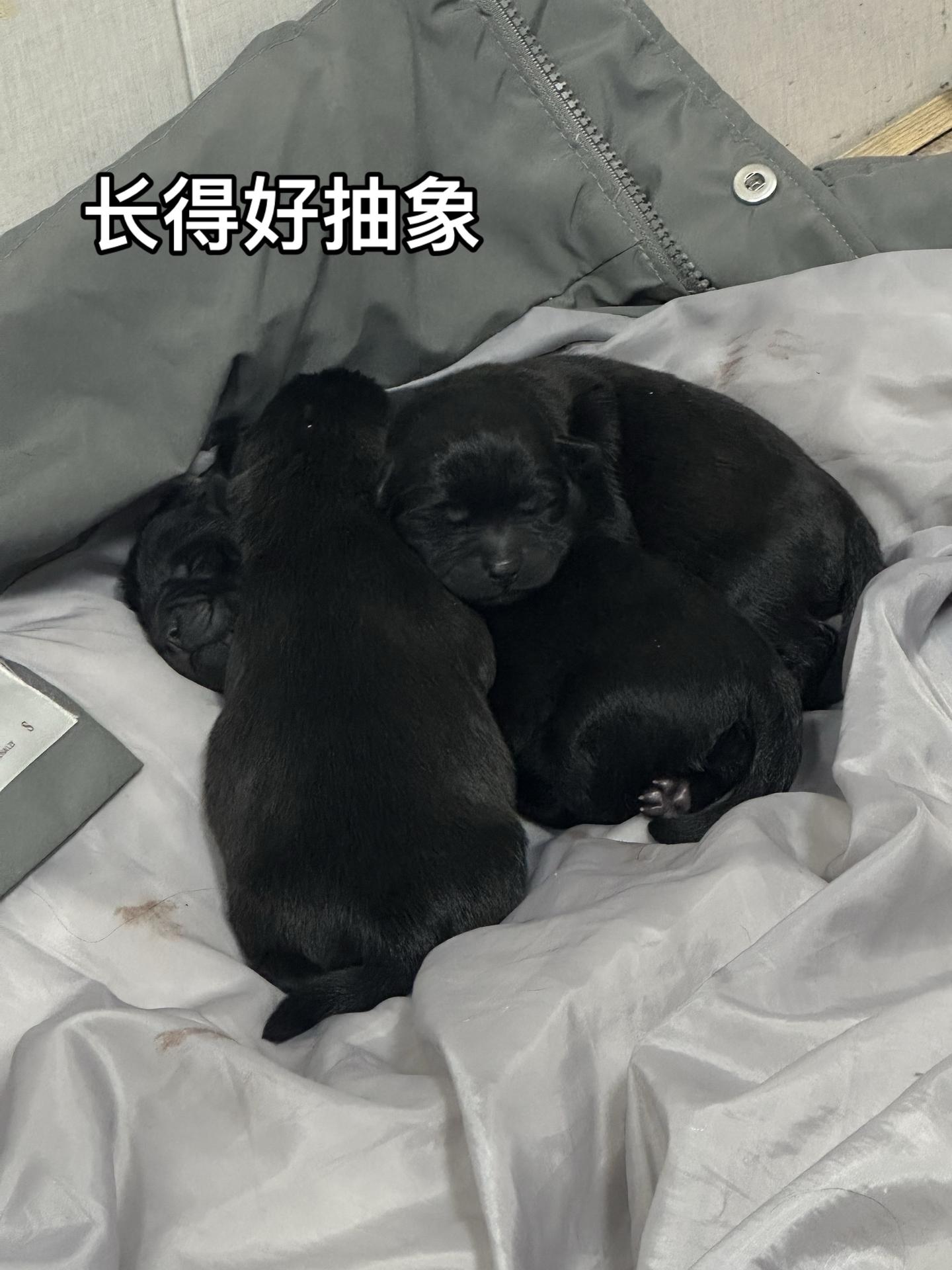 一定要看到最后一张