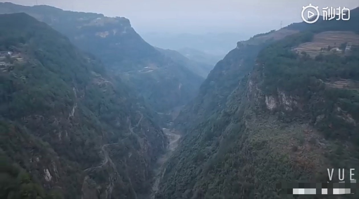 我爸在老家监工种树，老家大片松树林换种另一种树，听说今天下午上面来人验收检查，有