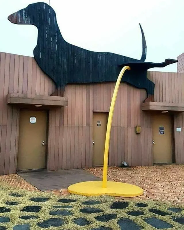 关于宠物酒店的新想法