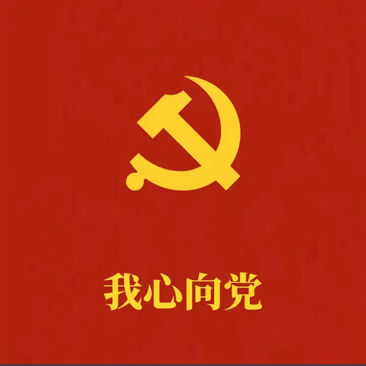 分享图片 