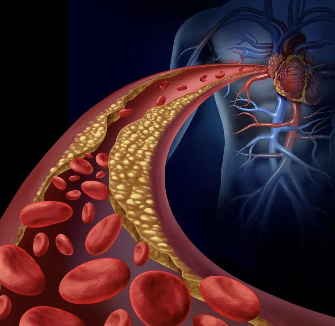 人体血管竟能绕地球三圈？纳米机器人能“吸掉”血块吗？

今天咱们要聊的可是一个超