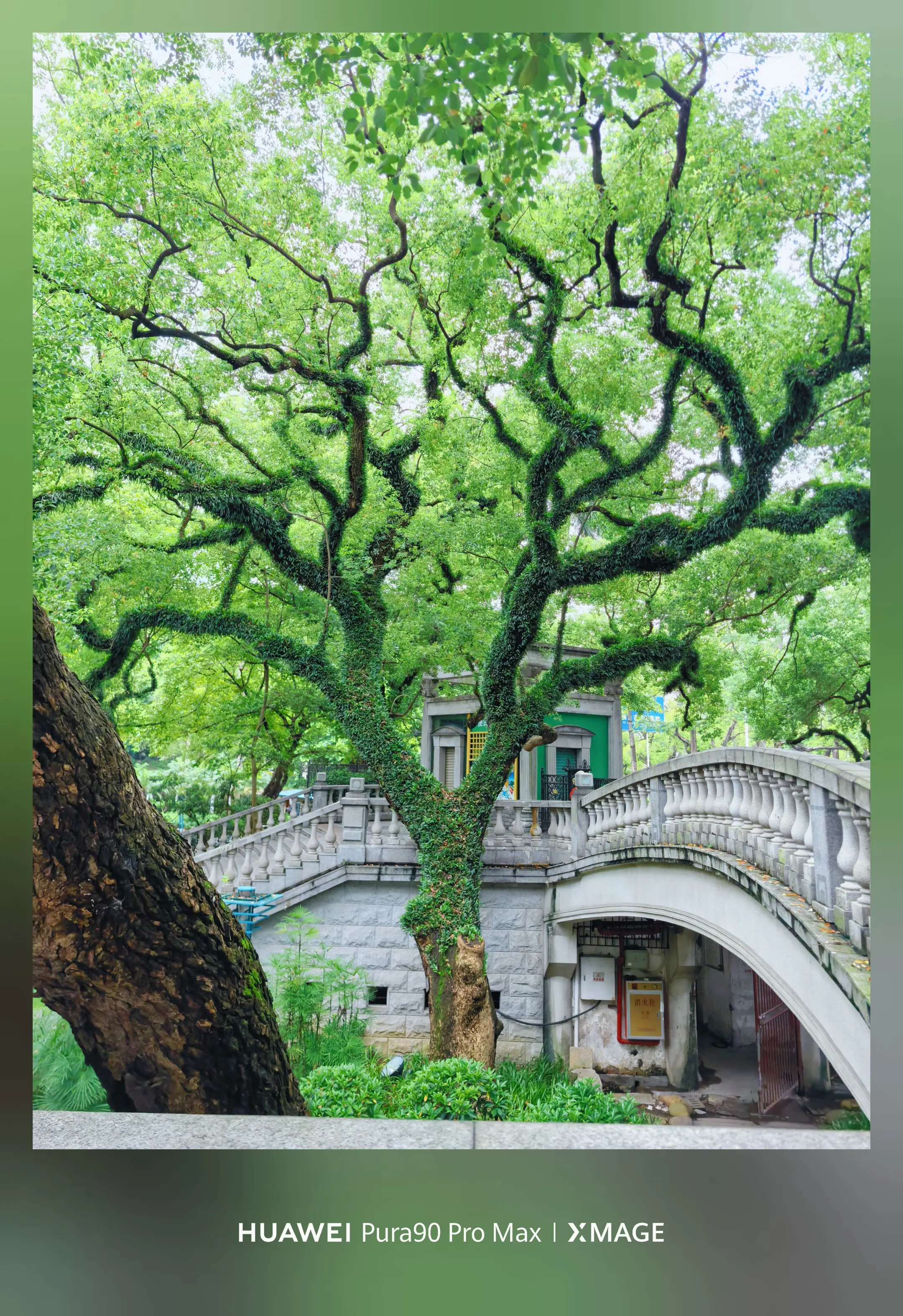 佛山中山公园城市里的绿野仙踪秘境。佛山中山公园｜绿野仙踪完整打卡攻略 ...