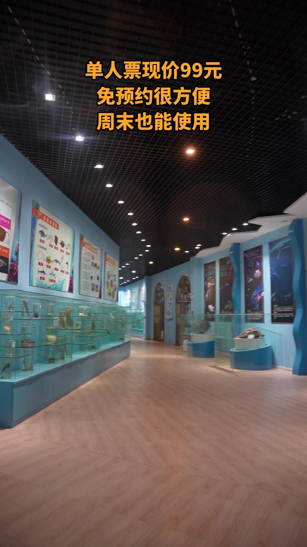 冰雪海洋世界，买它！，单人票，超值折扣，景区官方、随时退·过期退