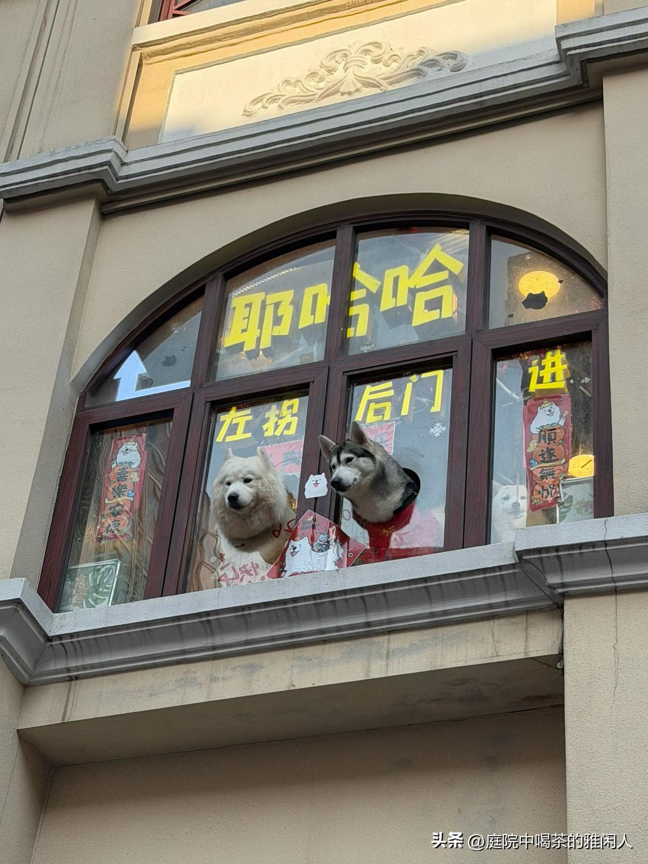 保育员、仓管员，二选一，选哪个好呢？纠结中……今天去面仓管员，当场就过了，让