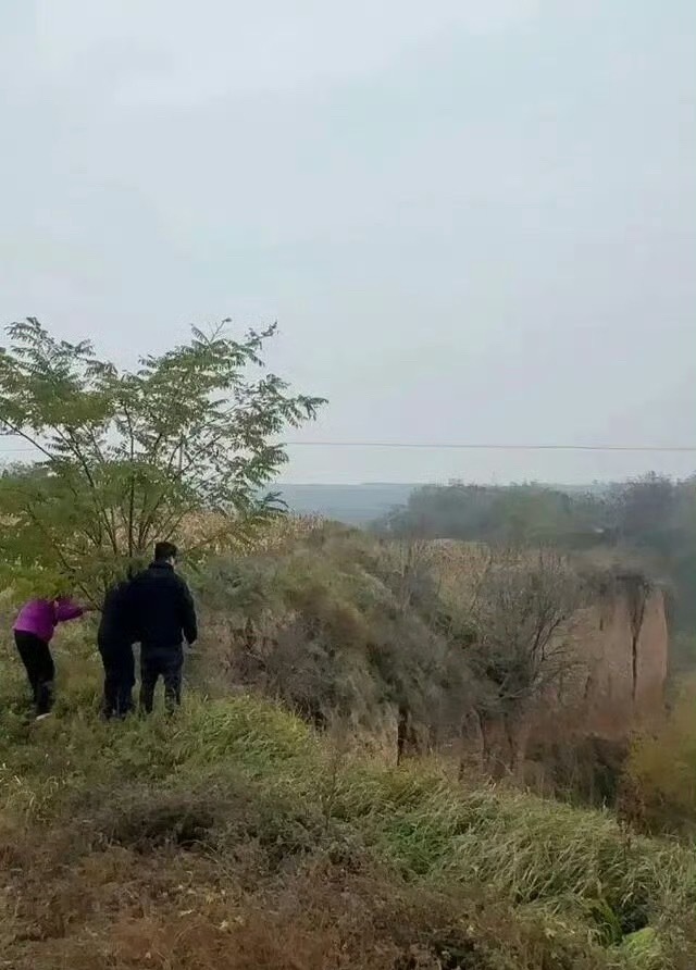 男子打晕妻子后扔下十几米悬崖致死两次提出离婚，一次劝撤诉，一次驳回…长期家暴、离