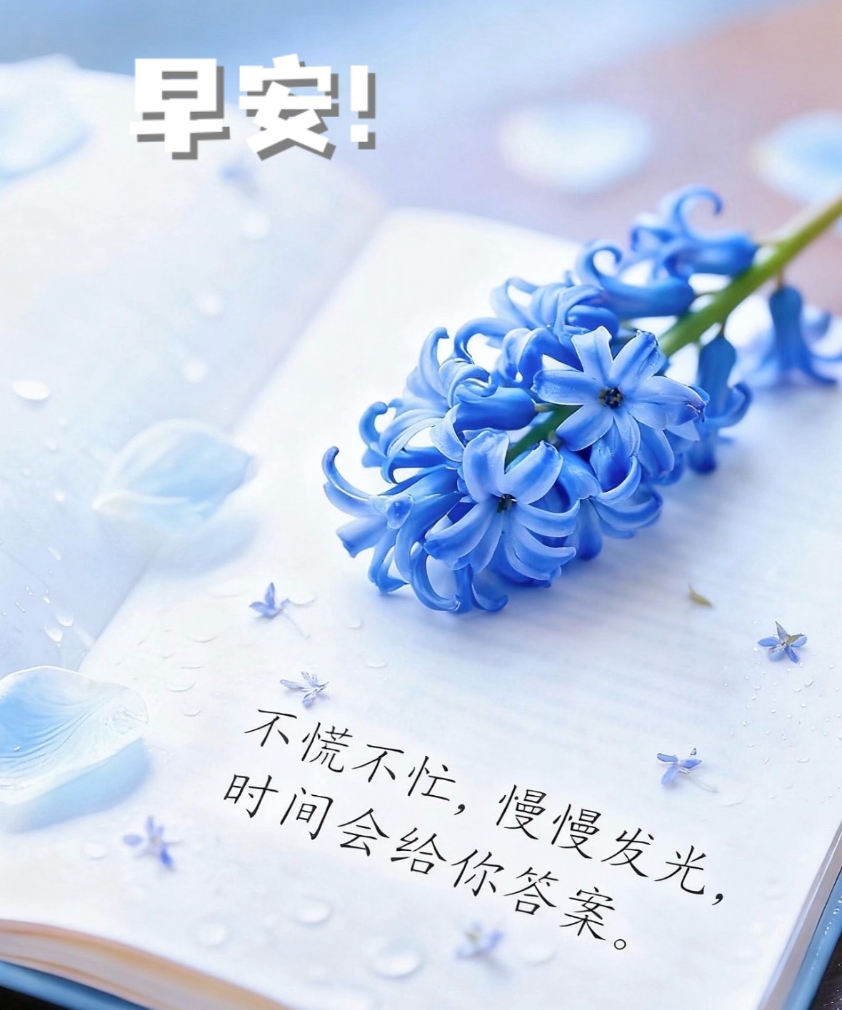 早起的鸟儿有虫吃，早起的你最有福，愿你今天好运连连，烦恼全“马”上消失！周五安好
