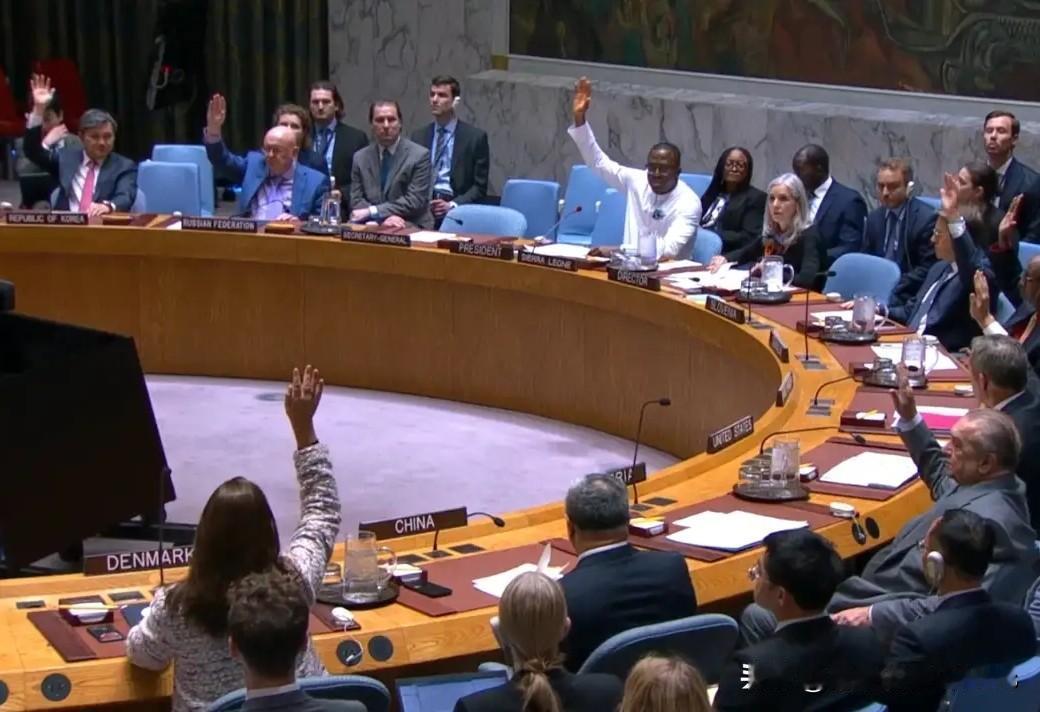 以14票赞成、1票弃权等结果，联合国安理会批准撤销对叙利亚领导人朱拉尼以及内政部