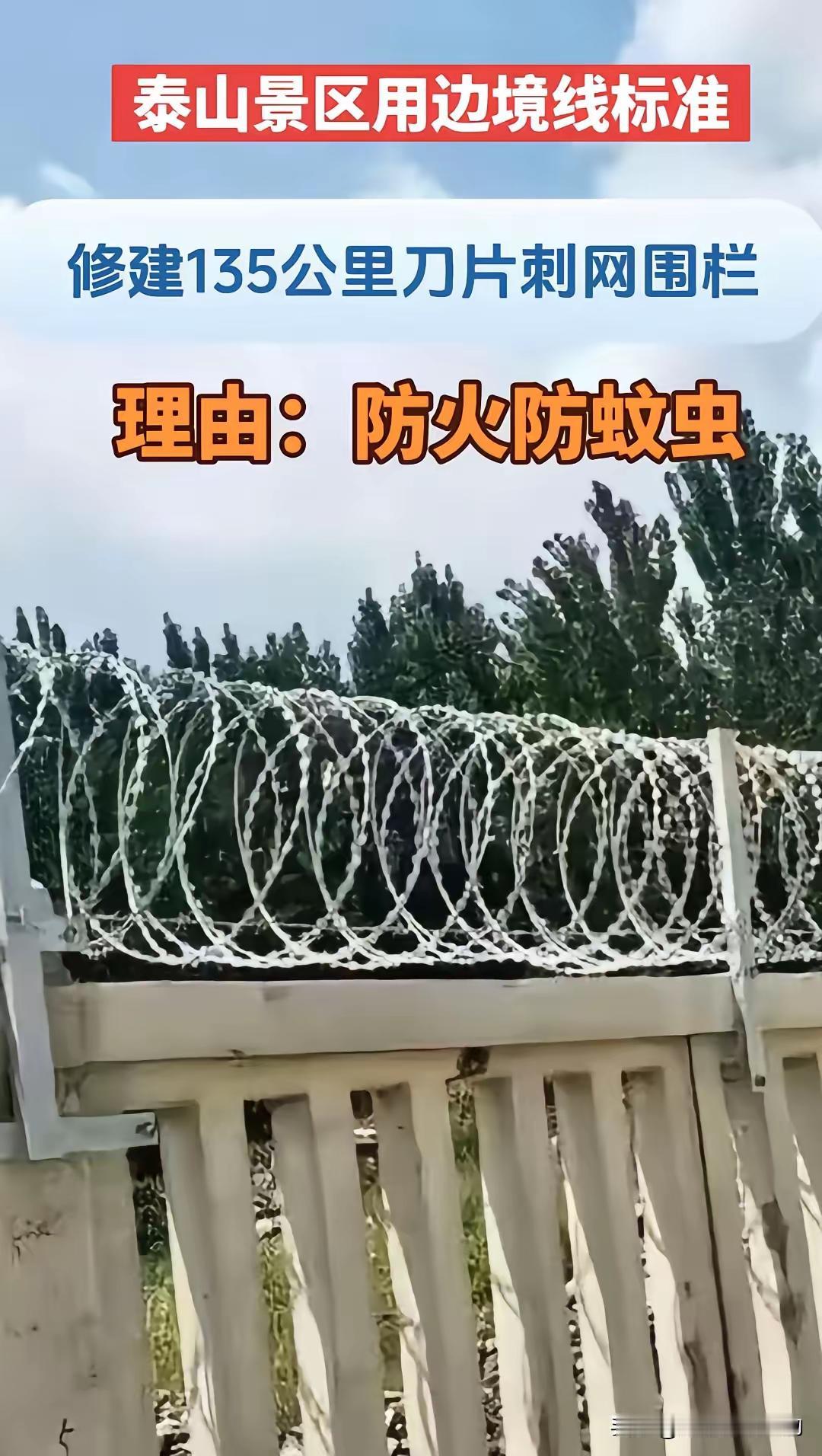 东岳的刀片刺网投资2000多万，估计当时投资的时候，也是经过充分论证的，但是，经