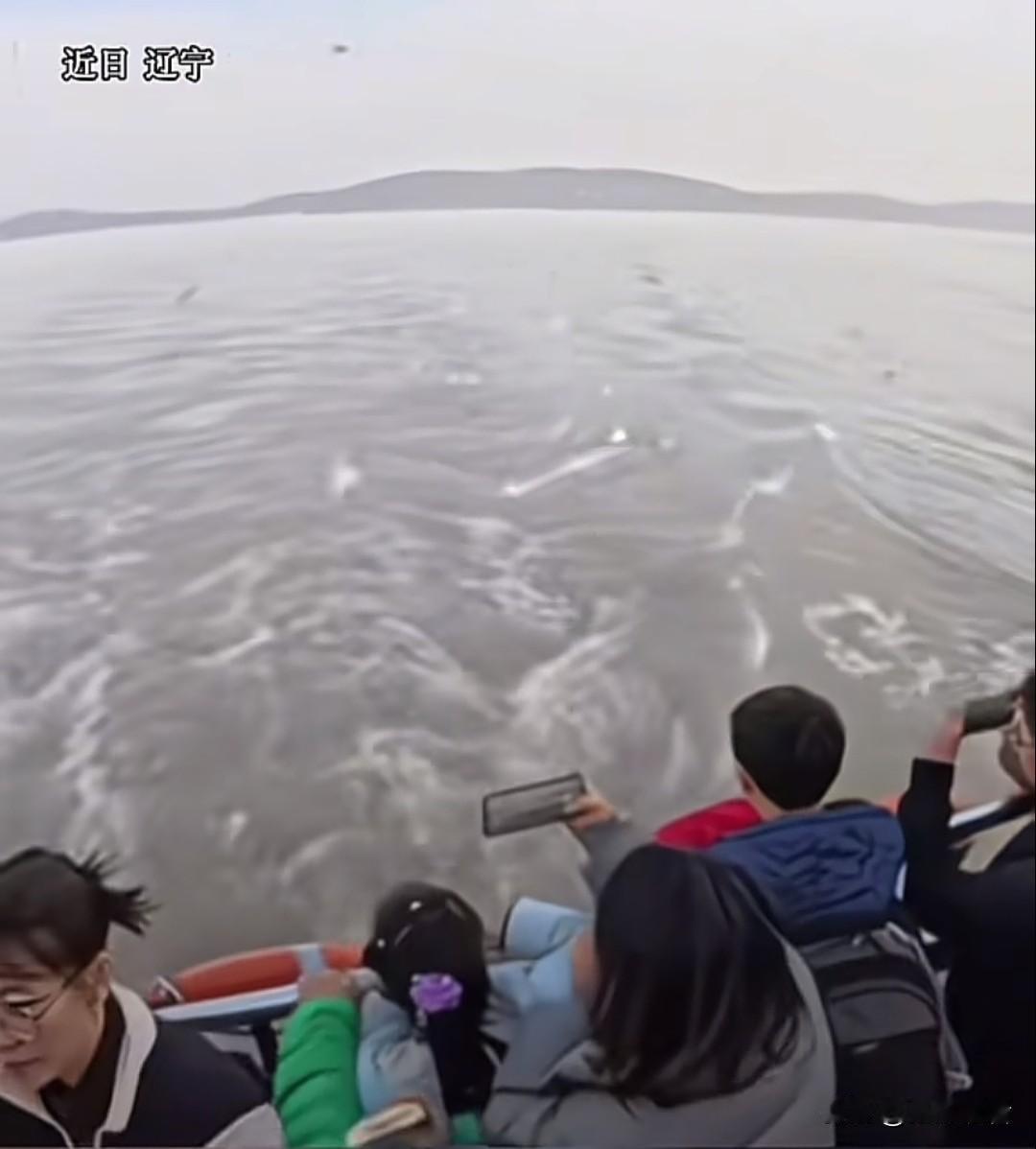 手机被娃打进海里了😭
 
近日辽宁海边真实“惨案“！
本来开开心心举着手机拍女