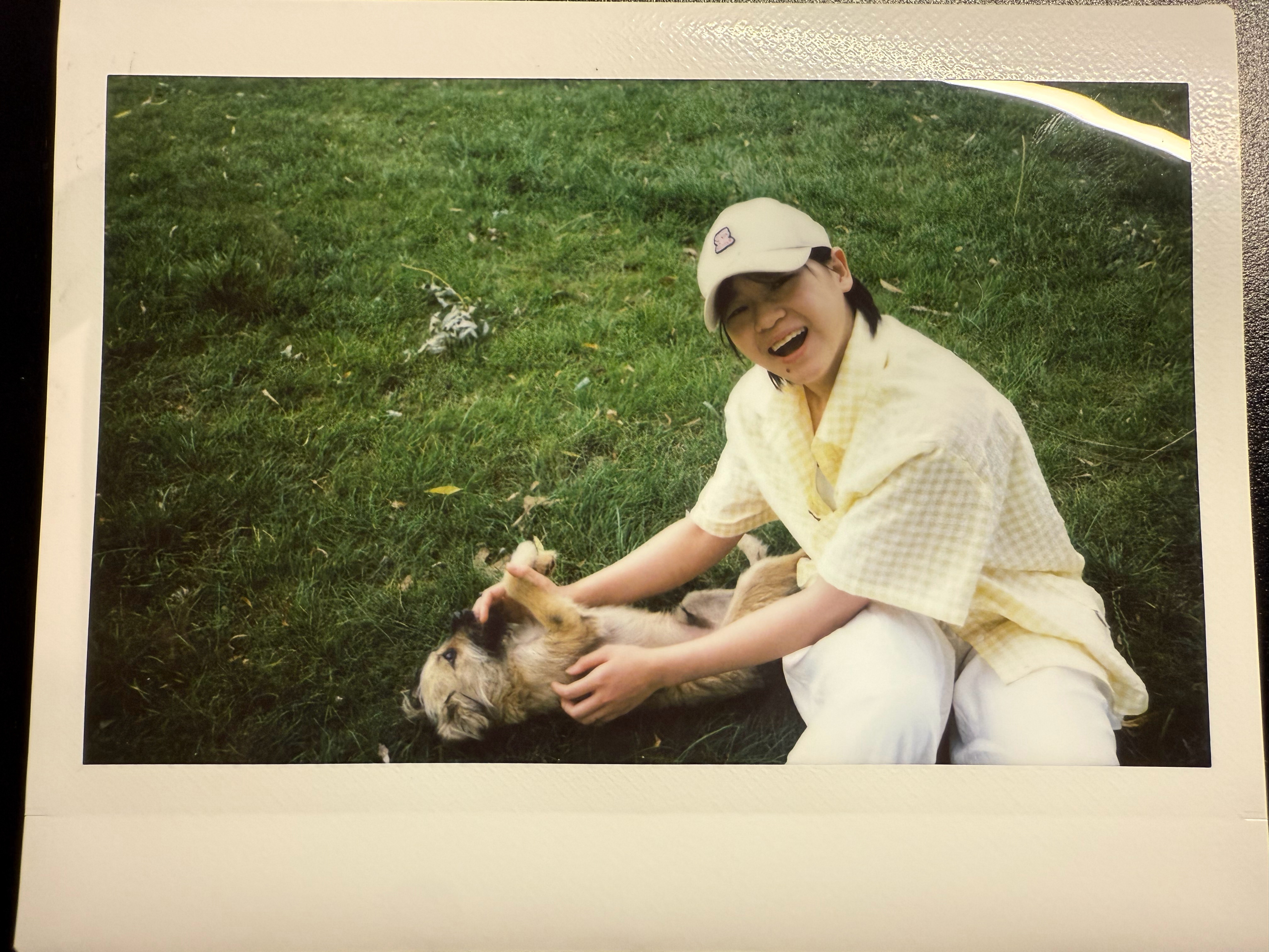 [锦鲤附体][吹风车][好运连连][送花花] ​​​