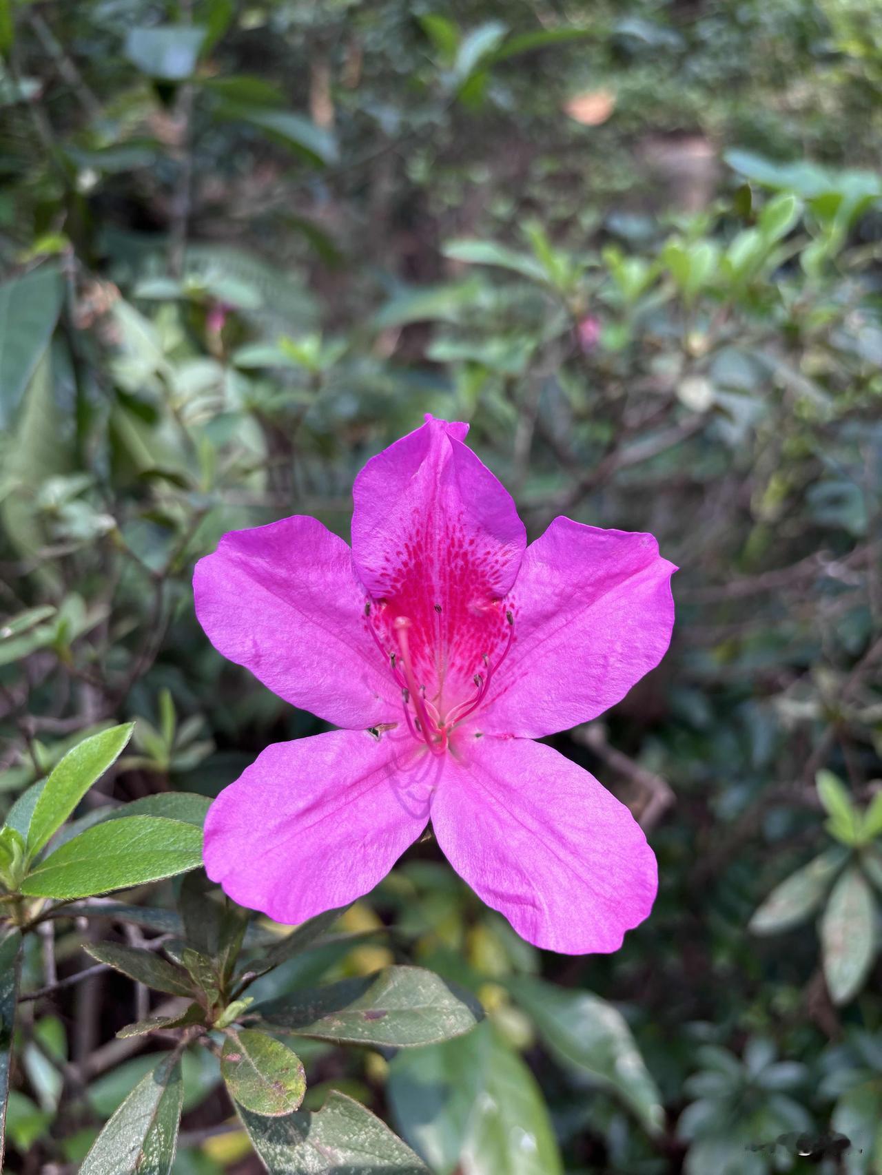 昨天和千问唇枪舌战，因为一个点让我觉得我的坚持不明智。

今日，金日。