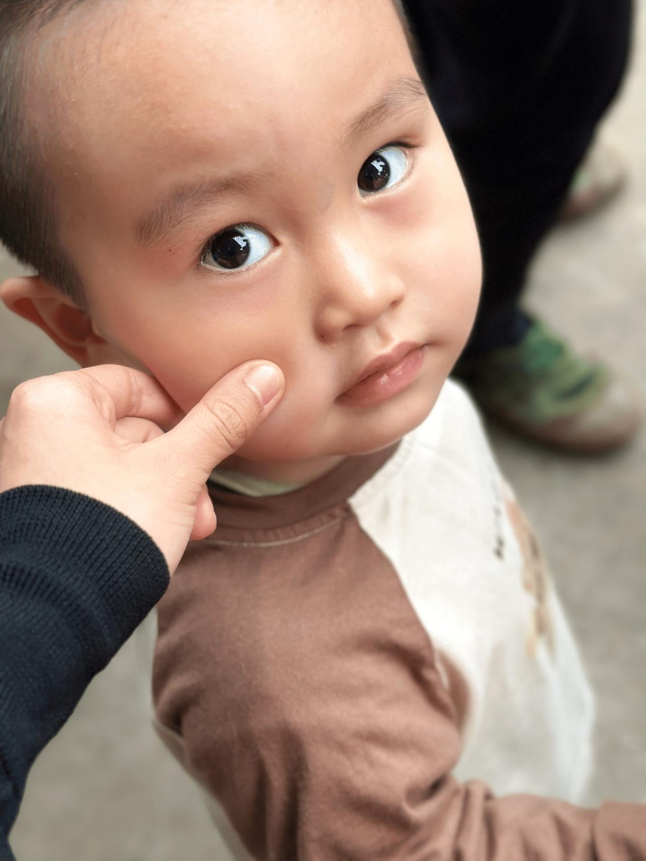 家庭和谐，不是没有矛盾，而是能好好处理矛盾。它像一个精密的生态系统，需要几个关键