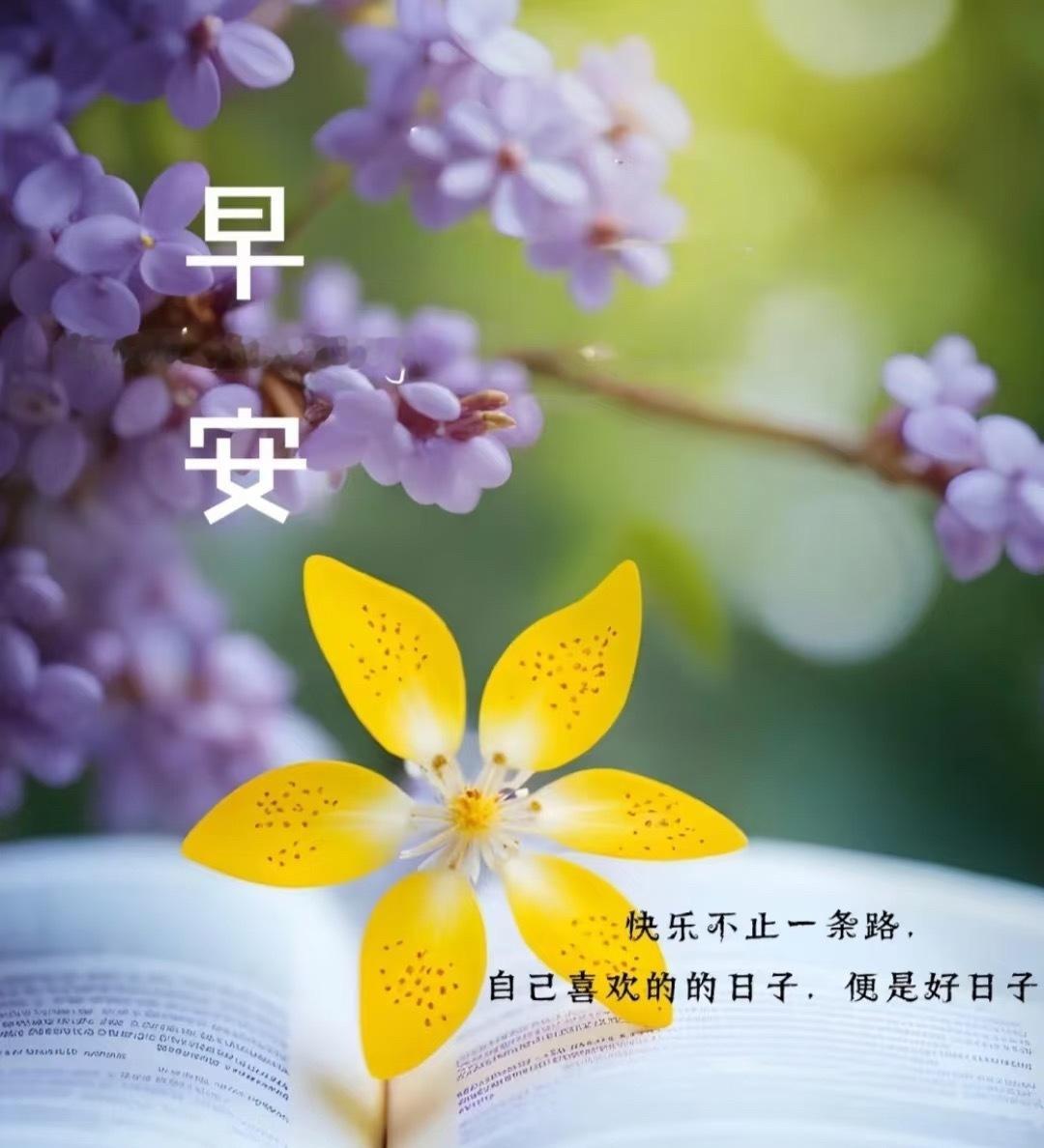 周五清晨的阳光温暖灿烂，携着晨光与你说声“早安”。愿今天的你，烦恼无影踪，快乐常