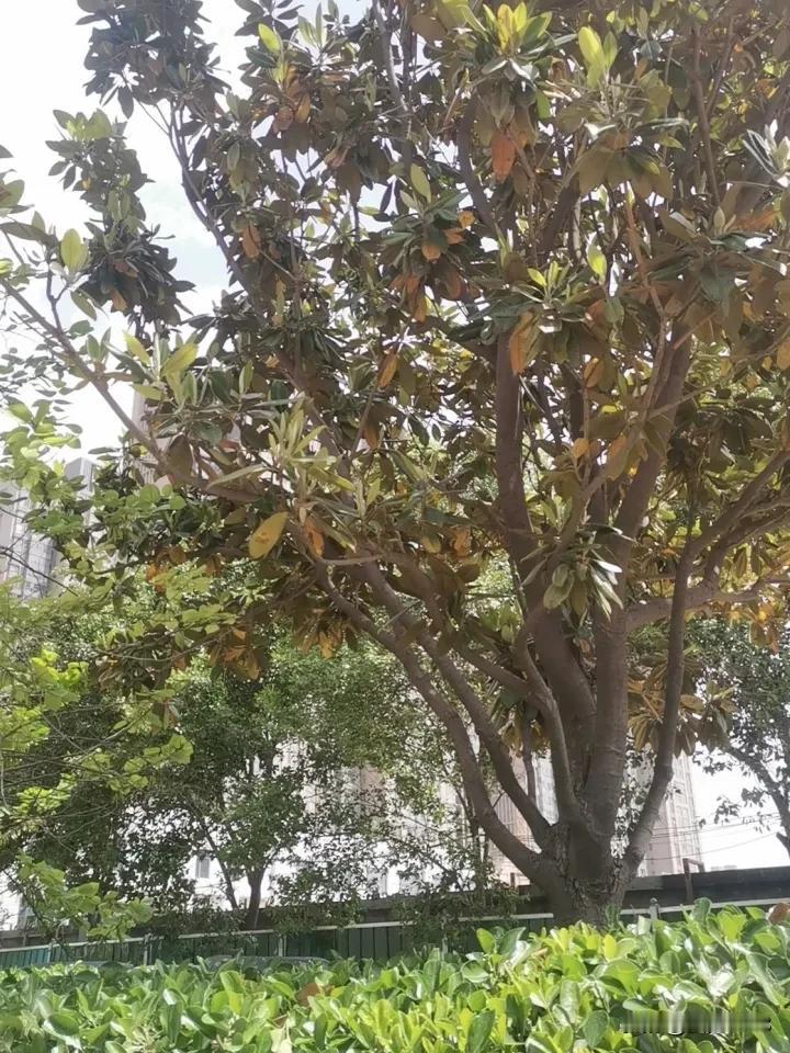 女人这辈子可以靠谁？婚姻是女性改命运，但是也得靠自己。自己充实自己，精神食粮和知