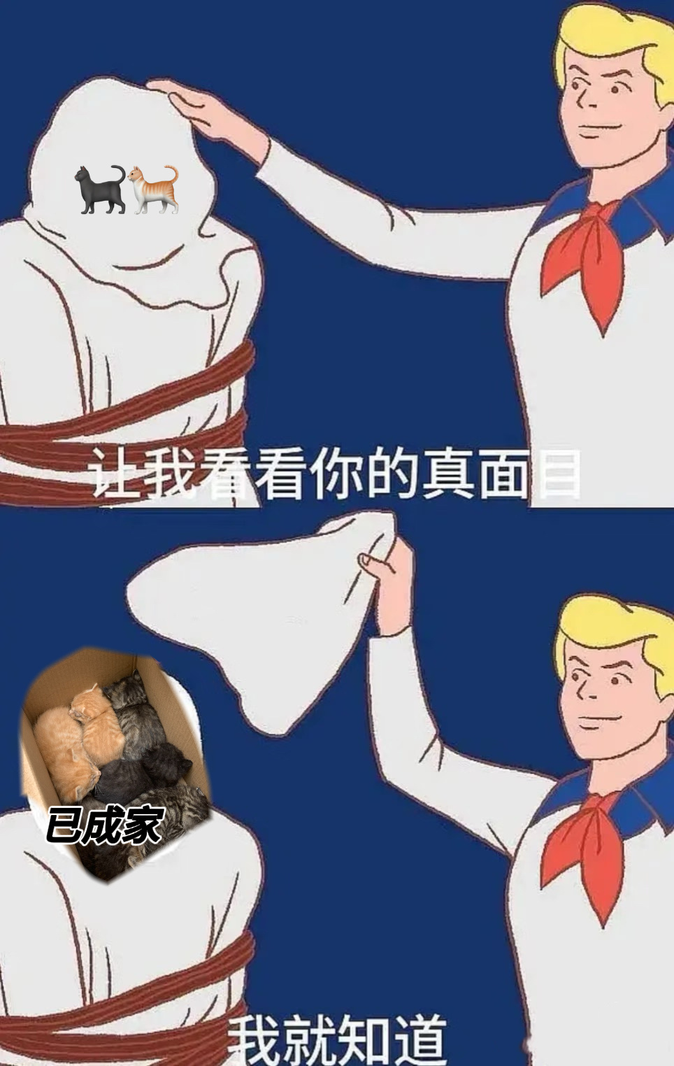 【我敲】删号这两天给我的感觉 
