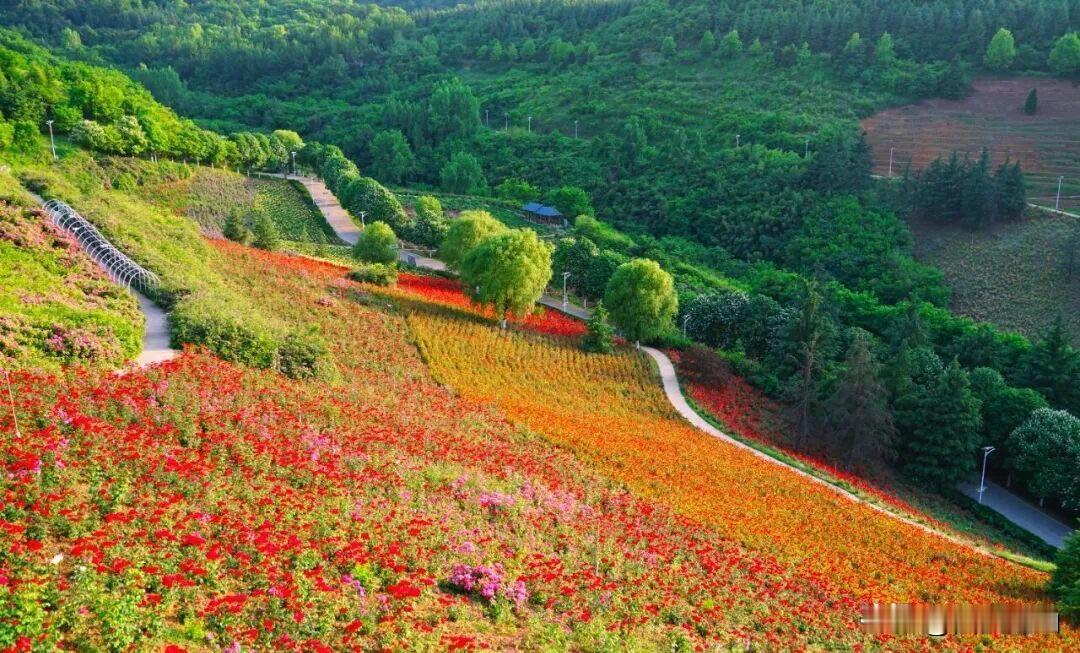 福利来了！秦岭国家植物园半价畅玩哦！初夏赴山野，赏花正当时。第16个中国旅游日来